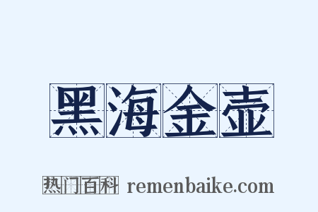 黑海金壶是什么意思的图片